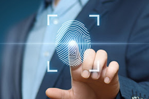 Passport & Identity Services